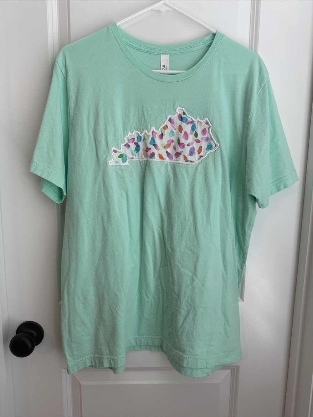 Bella Canvas Mint Short-Sleeve Tee with Colorful Kentucky Leaf Patch